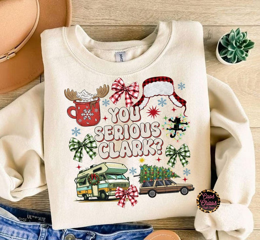 Serious-Tee/Sweatshirt